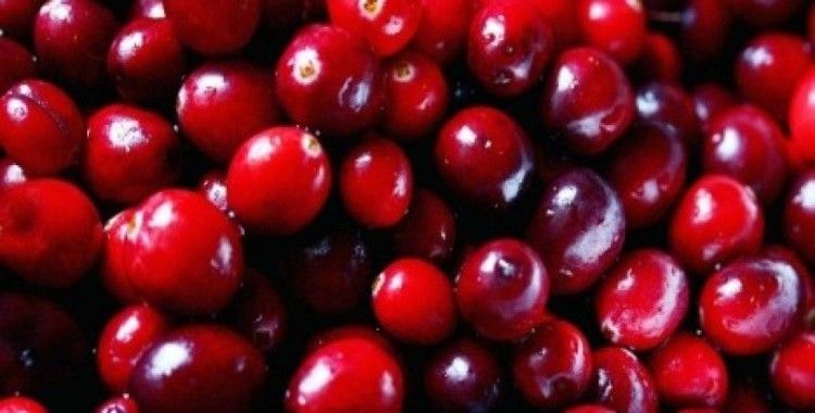 Cranberry ve pikan cevizi Türk mutfağında
