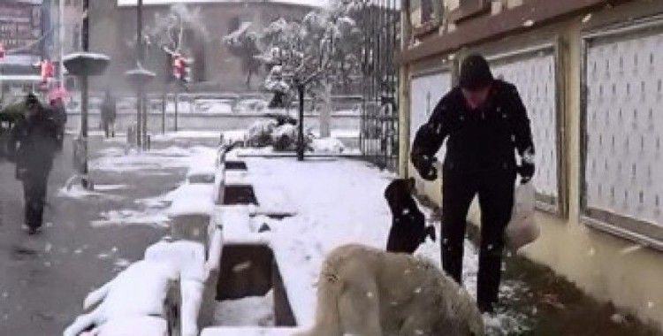 Karda aç kalan sokak köpeklerini unutmadı