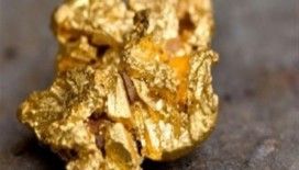 Merkez Bankası'na yatırılan altın miktarı 2 kat arttı