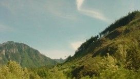 Rüyada bayır görmek ne demek ?