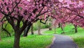  Rüyada cemre görmek ne demek ?