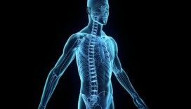 Rüyada beden görmek ne demek ?