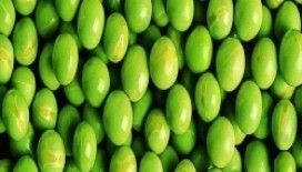 Rüyada bezelye görmek ne demek ?