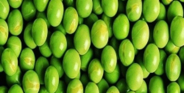 Rüyada bezelye görmek ne demek ?