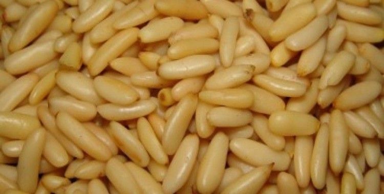  Rüyada çam fıstığı görmek ne demek ?