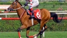 Rüyada binici (Jokey) görmek ne demek ?