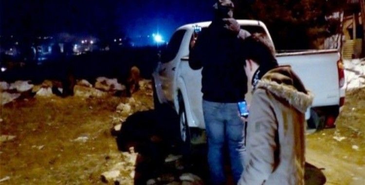 Tunceli'de aç kalan yaban domuzlarını vatandaşlar besliyor