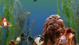 Rüyada akvaryum görmek