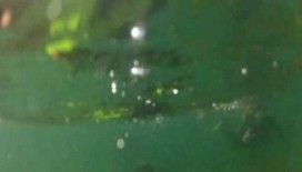 Rüyada bulanıklık görmek