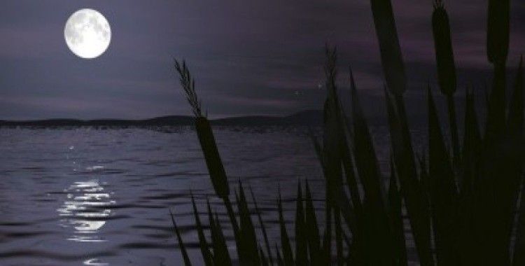 Rüyada alacakaranlık görmek