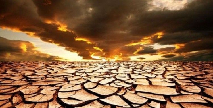 Rüyada çorak görmek