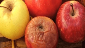  Rüyada çürük görmek