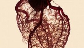 Rüyada damar görmek 