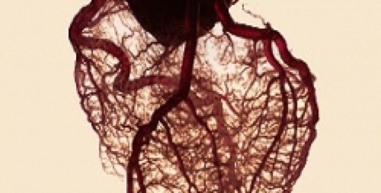 Rüyada damar görmek 