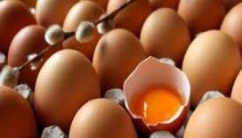 Yumurta lekesi nasıl çıkar?
