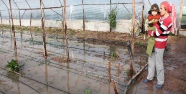 Kumluca'da seralar yine sular altında kaldı