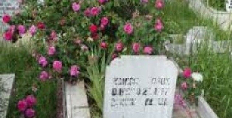 Dolayoba Mezarlığına nasıl gidilir ?