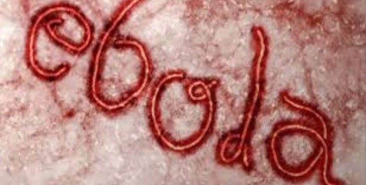 Eskişehir'de bir kadın ebola şüphesiyle hastaneye kaldırıldı