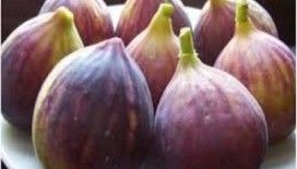 Rüyada incir görmek