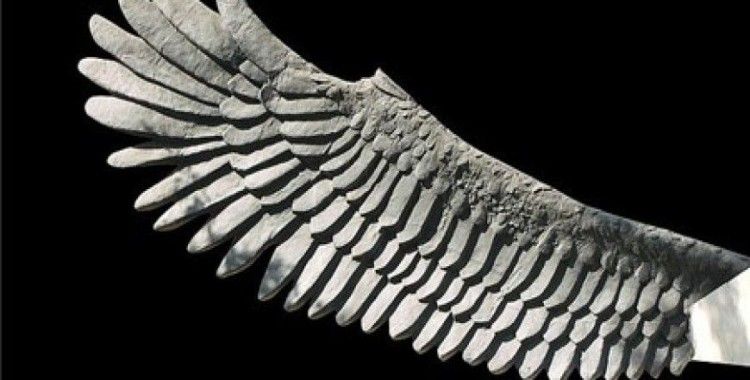 Rüyada kanat görmek