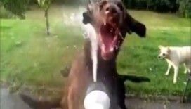 Serinlemek hiç bu kadar eğlenceli olmamıştı