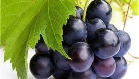 Rüyada kara üzüm görmek
