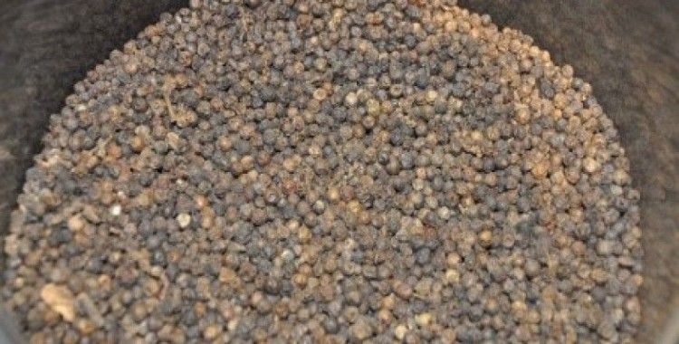 Rüyada karabiber görmek