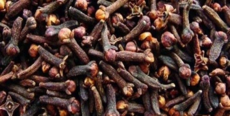 Rüyada karanfil görmek