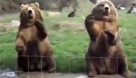 Konuklarını selamlayarak karışılıyorlar