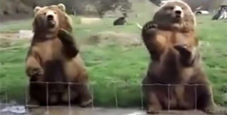 Konuklarını selamlayarak karışılıyorlar