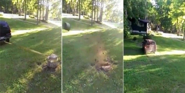 Ağacın kökünü ciple sökmek isteyince...