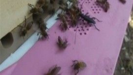 ​Belgeselde gördüğünü uygulamaya kalkınca...