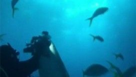 ​Çekmeyin kardeşim !