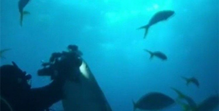 ​Çekmeyin kardeşim !