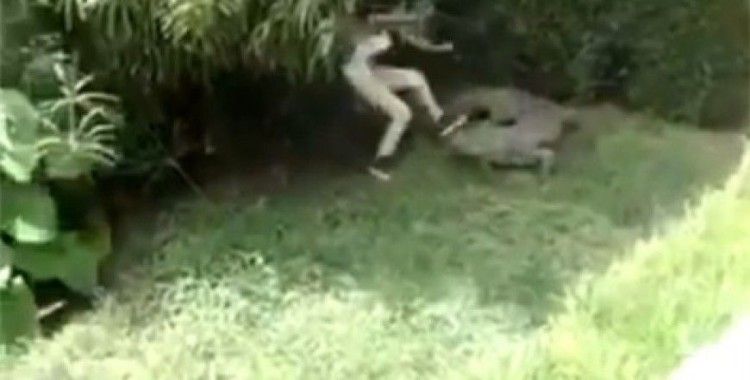 ​Cahil cesaretinin etkisi kısa sürdü