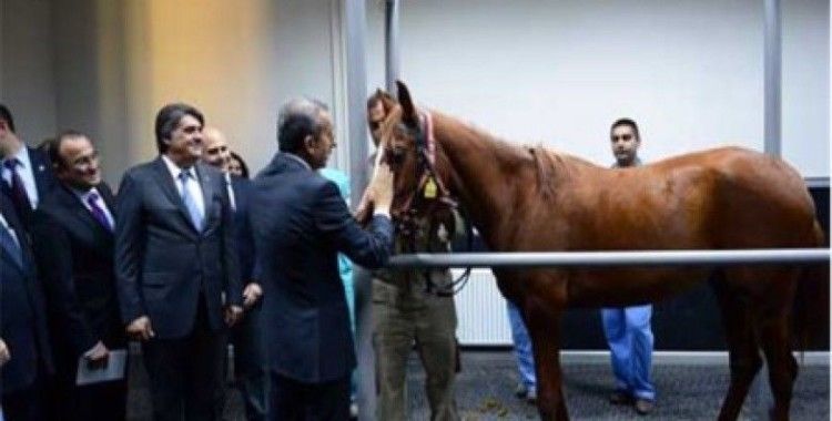10 İldeki At Hastanelerinin Toplu Açılış Töreni Kocaeli'de yapıldı 