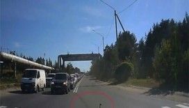 Ördekler yaya geçidini kullandı