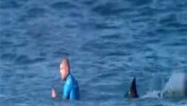Canlı yayında köpekbalığı saldırısı !