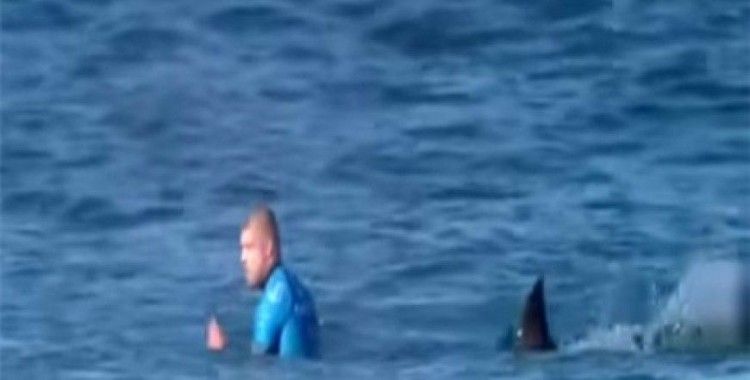Canlı yayında köpekbalığı saldırısı !