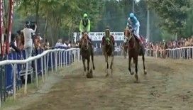 ​Jokeysiz at bakın kaçıncı oldu !