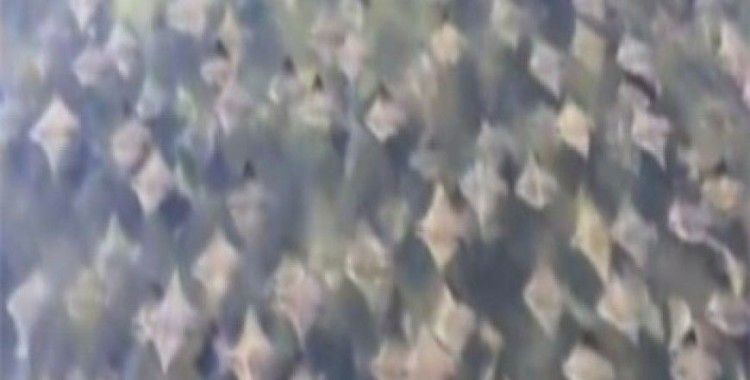 Gökyüzü değil denizin dibi