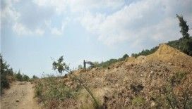 Kıbrıs'ta kayıp kazıları devam ediyor 