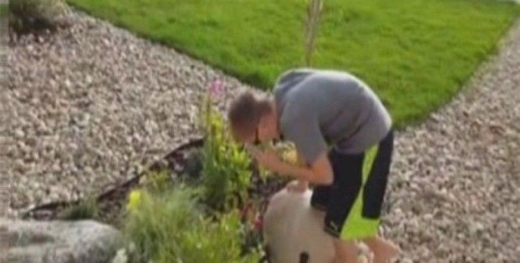 Onun şaşkınlığı çiçeklere değil renklere