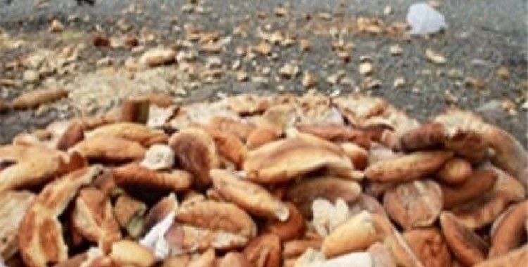 Her gün beş milyon ekmek çöpe atılıyor
