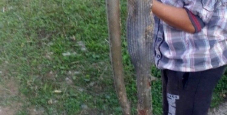13 yaşındaki çocuk 2 metrelik yılanı öldürdü