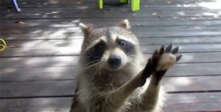 Hanımefendi lütfen kapıyı açın