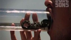 Bu çılgınlığı mideniz kaldırmayabilir