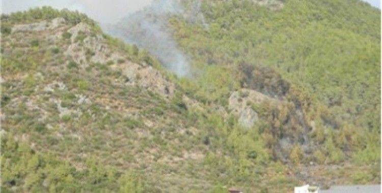 Mersin'de 10 hektar Kızılçam ormanı yandı