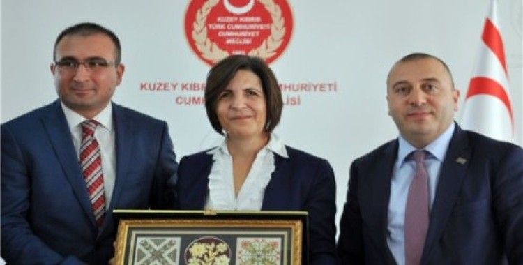 Türkiye'den KKTC'ye ekonomi köprüsü