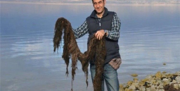 Ördek otu, Burdur Gölü'ndeki faunayı olumlu etkiliyor